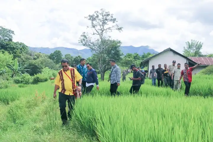 Gubernur NTT, Emanuel Melkiades Laka Lena mengunju ngi persawahan Soa sekaligus Bendungan Soa 2 Wirase, Kamis (10/4/2025).