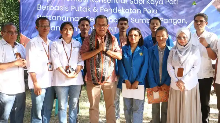 inovasi pangan ternak di ntt bersama peppsi ntt