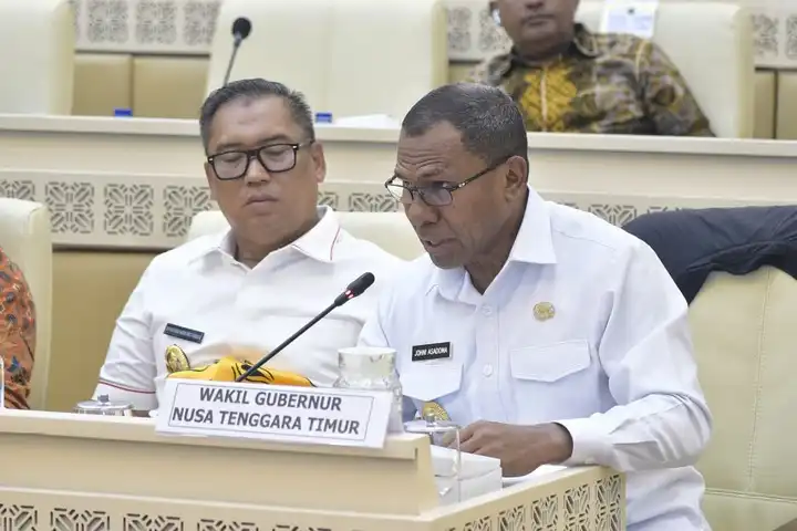 Wagub NTT, Johni Asadoma saat hadir dalam Raker dan RDP Panja Pengelola Perbatasan Wilayah Negara yang diselenggarakan Komisi II DPR RI di Ruang Rapat Komisi II DPR RI, Rabu (21/1/2026)
